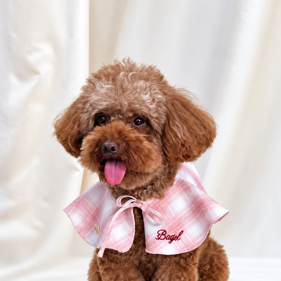 Petal Collar
