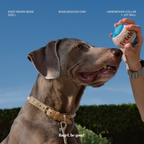 Joy Ball Holder