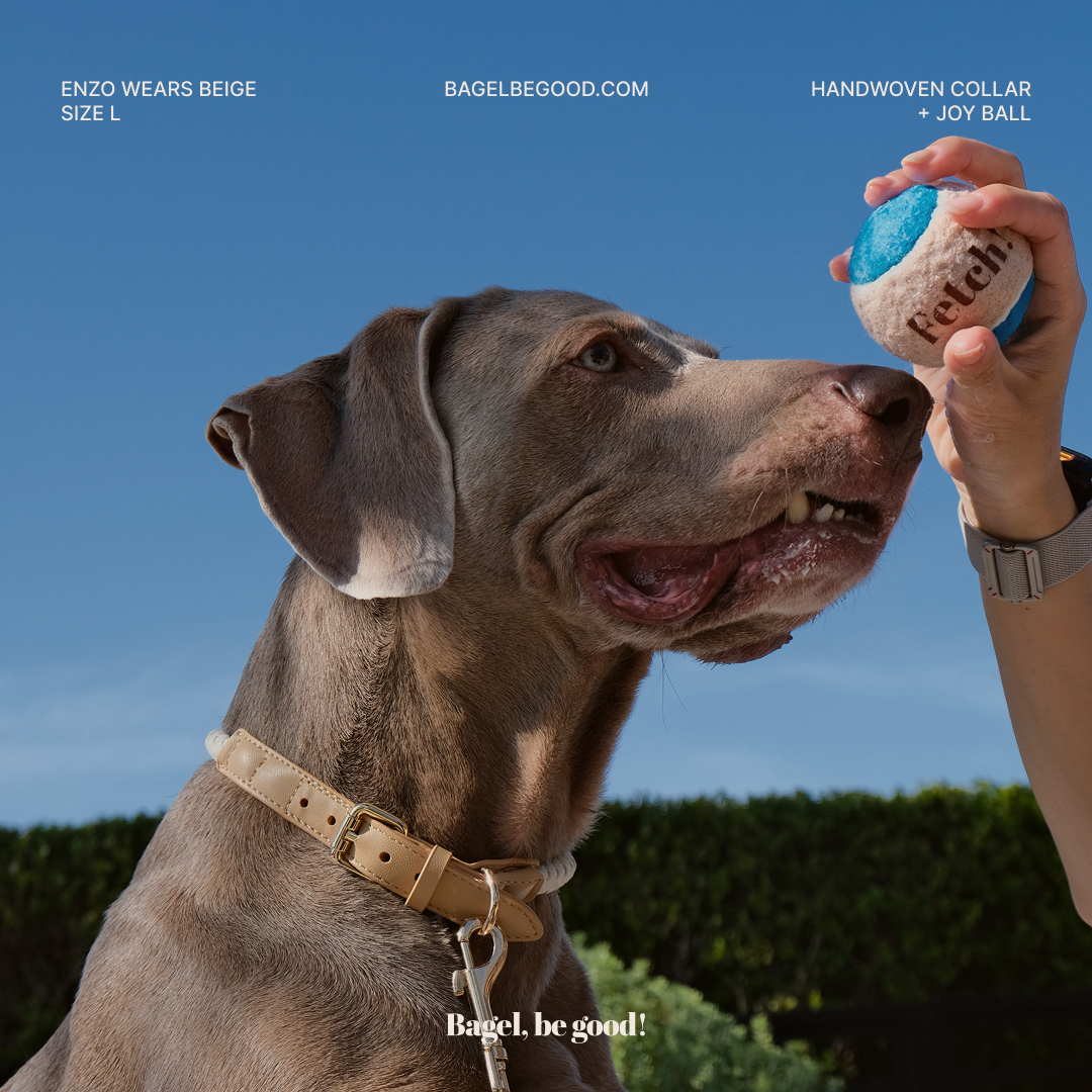 Joy Ball Holder
