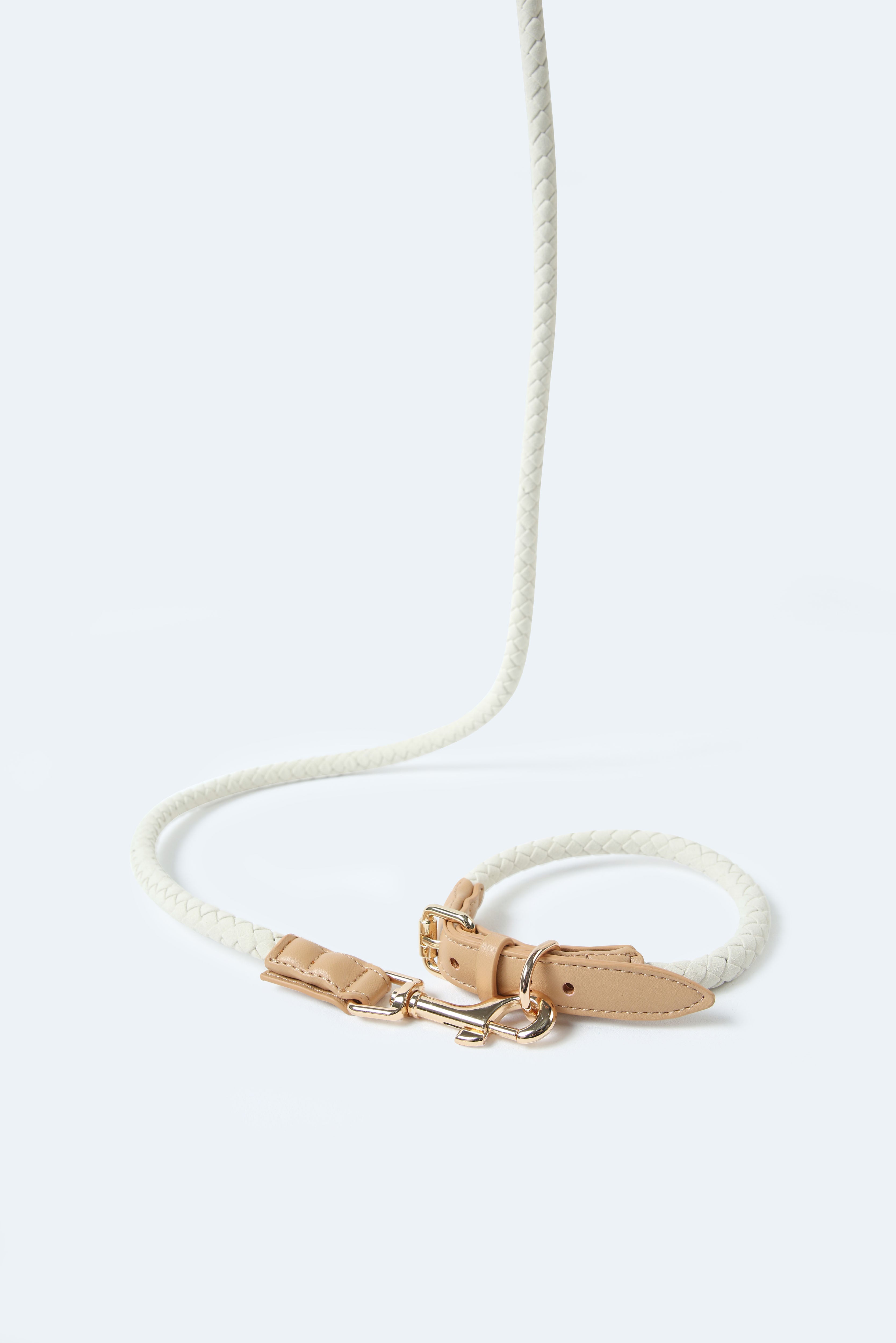 Handwoven Daily Leash - Beige