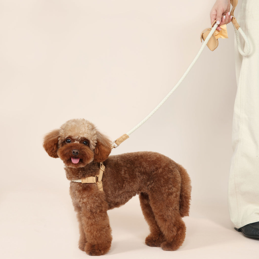 Handwoven Harness + Leash Set