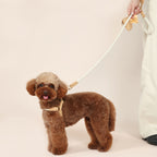 Handwoven Harness + Leash Set