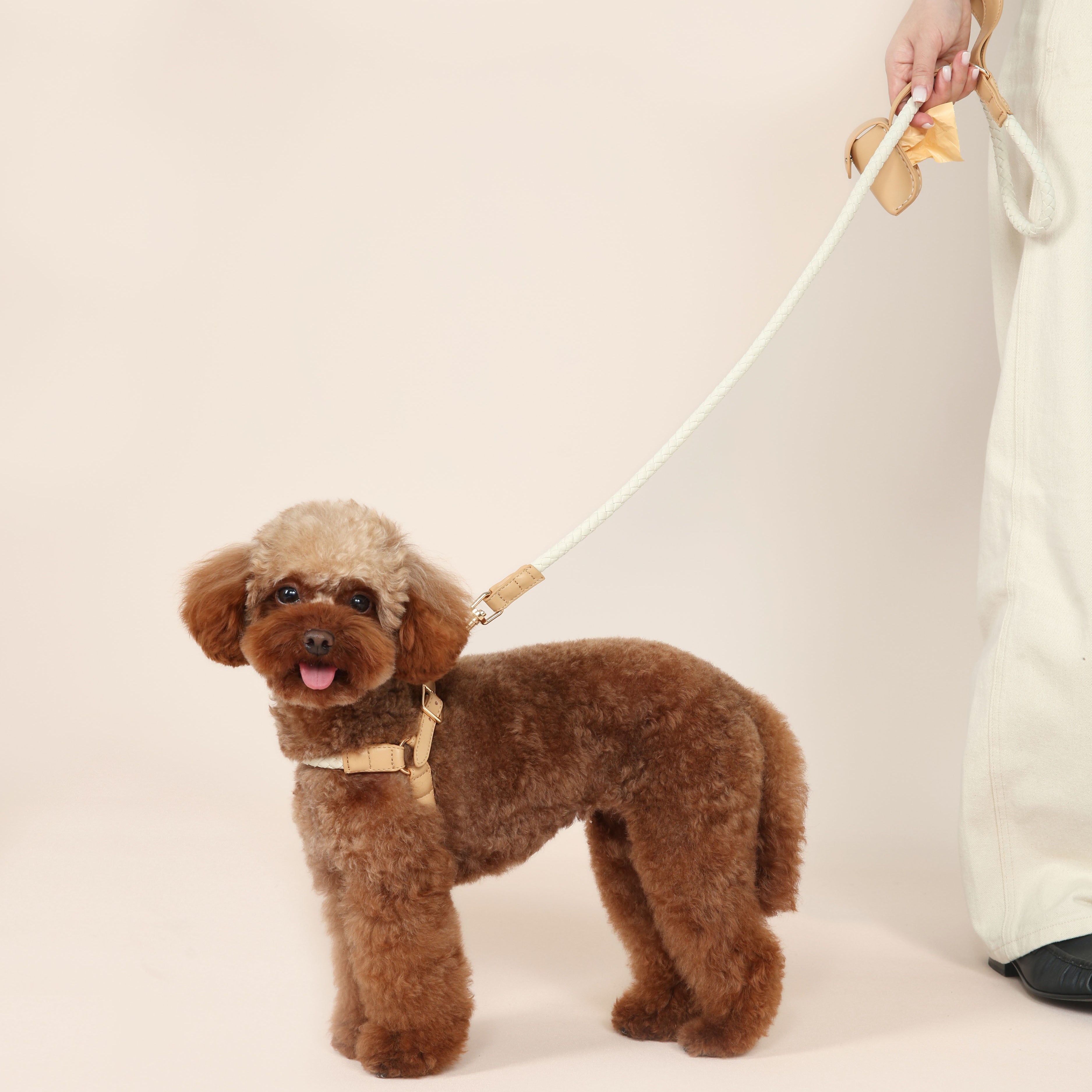 Handwoven Harness + Leash Set