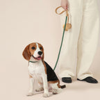 Handwoven Collar + Leash Set