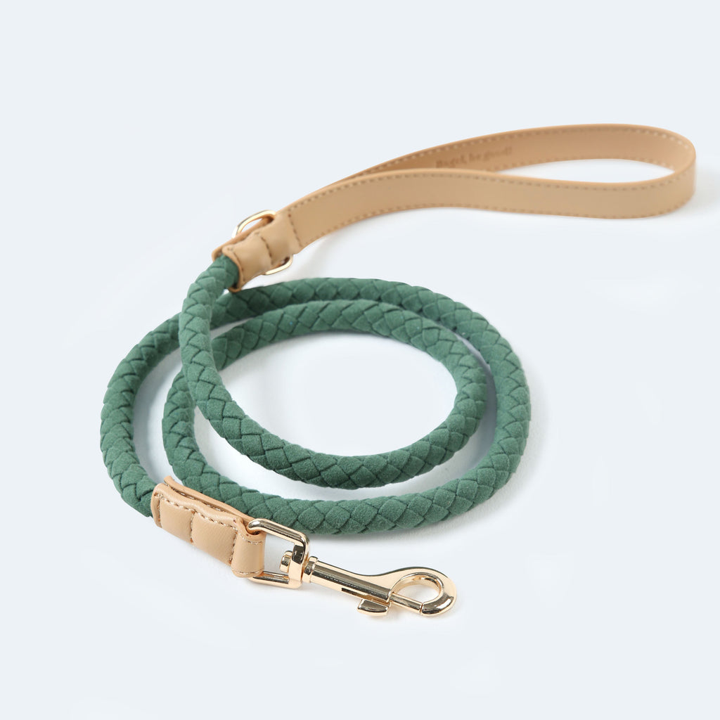 All-in-One Walk Set