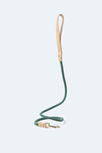 Handwoven Daily Leash - Green