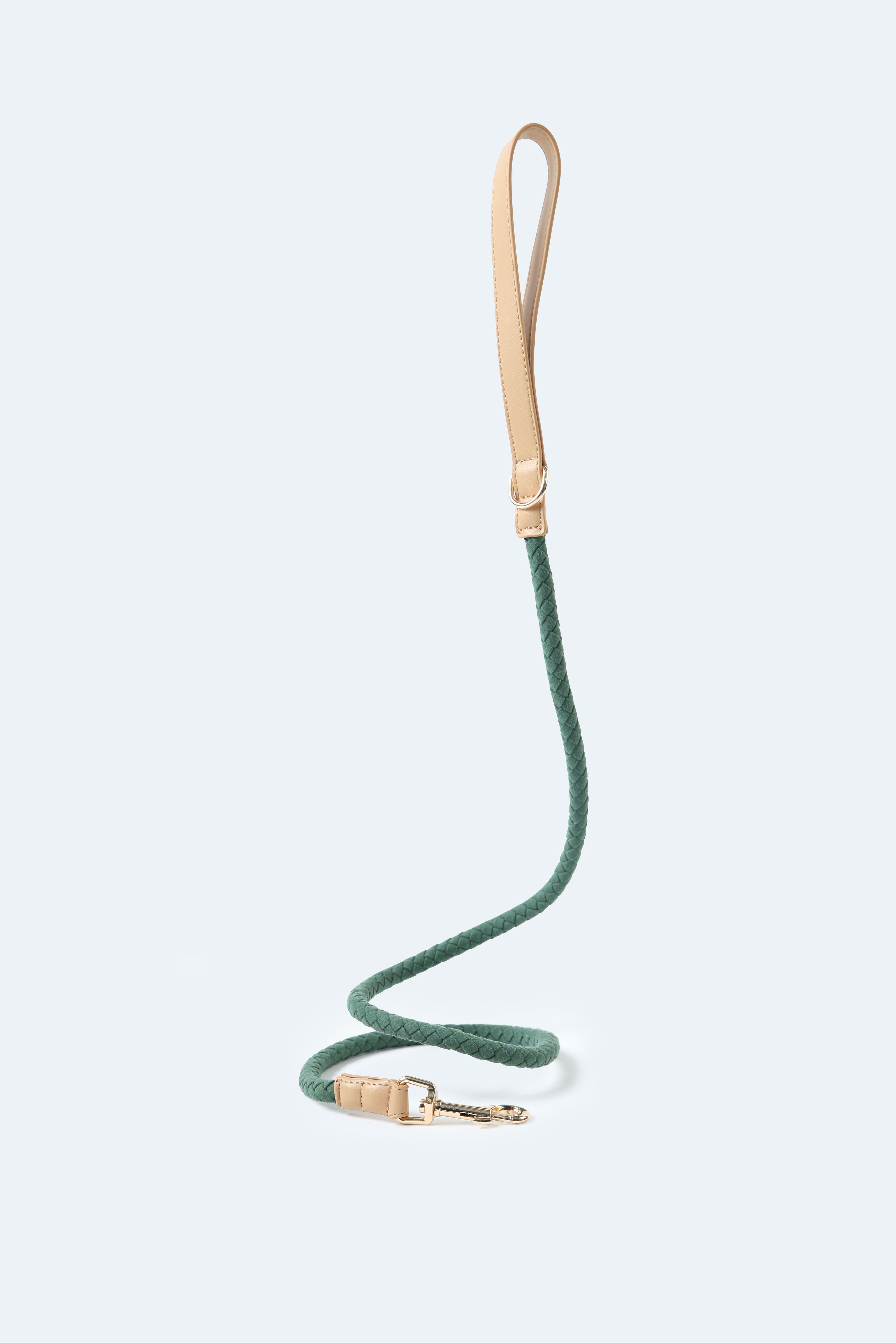 Handwoven Daily Leash - Green