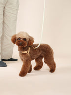 Handwoven Harness - Beige