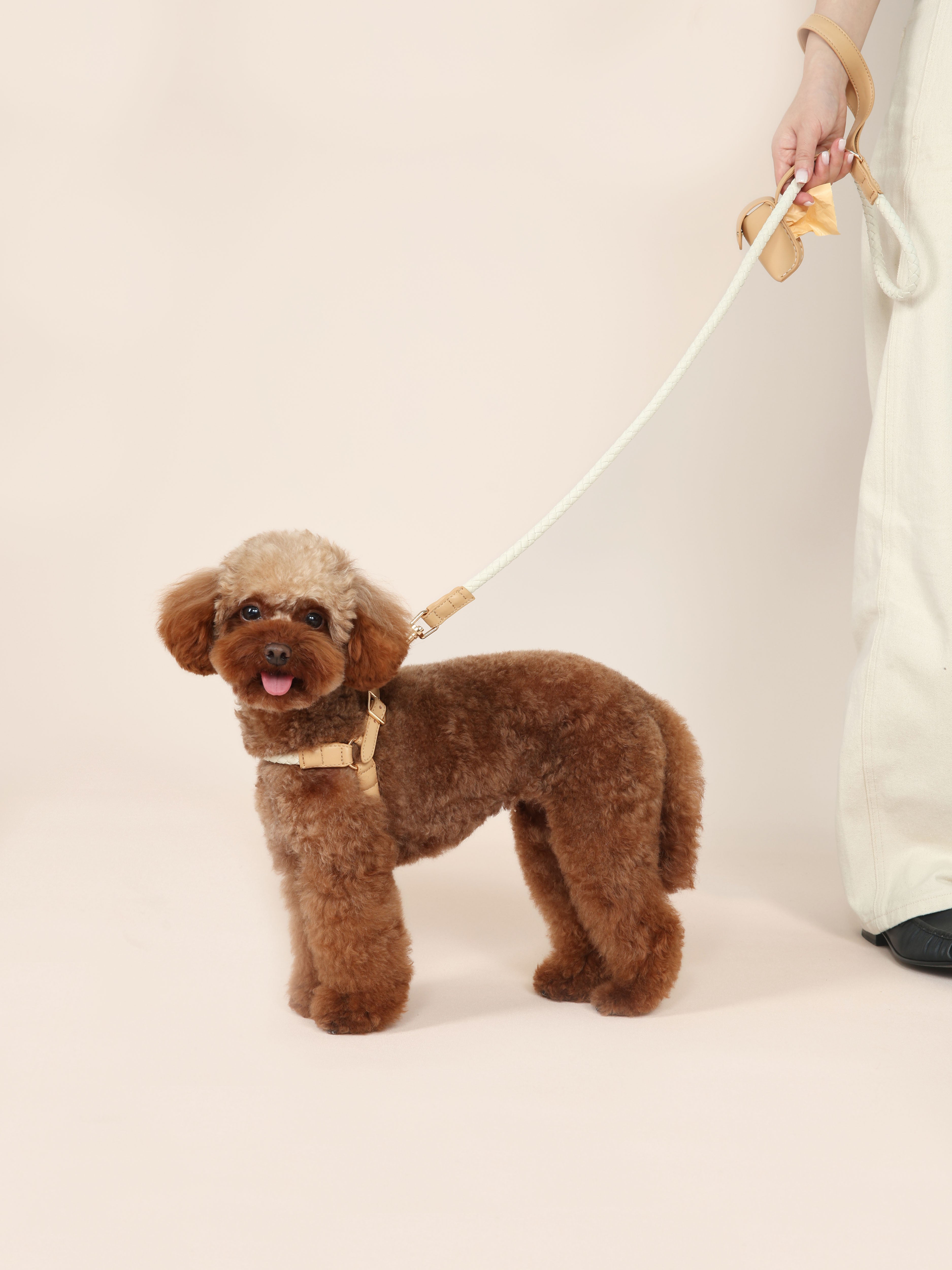 Handwoven Harness - Beige