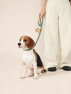 Handwoven Loop Collar - Green