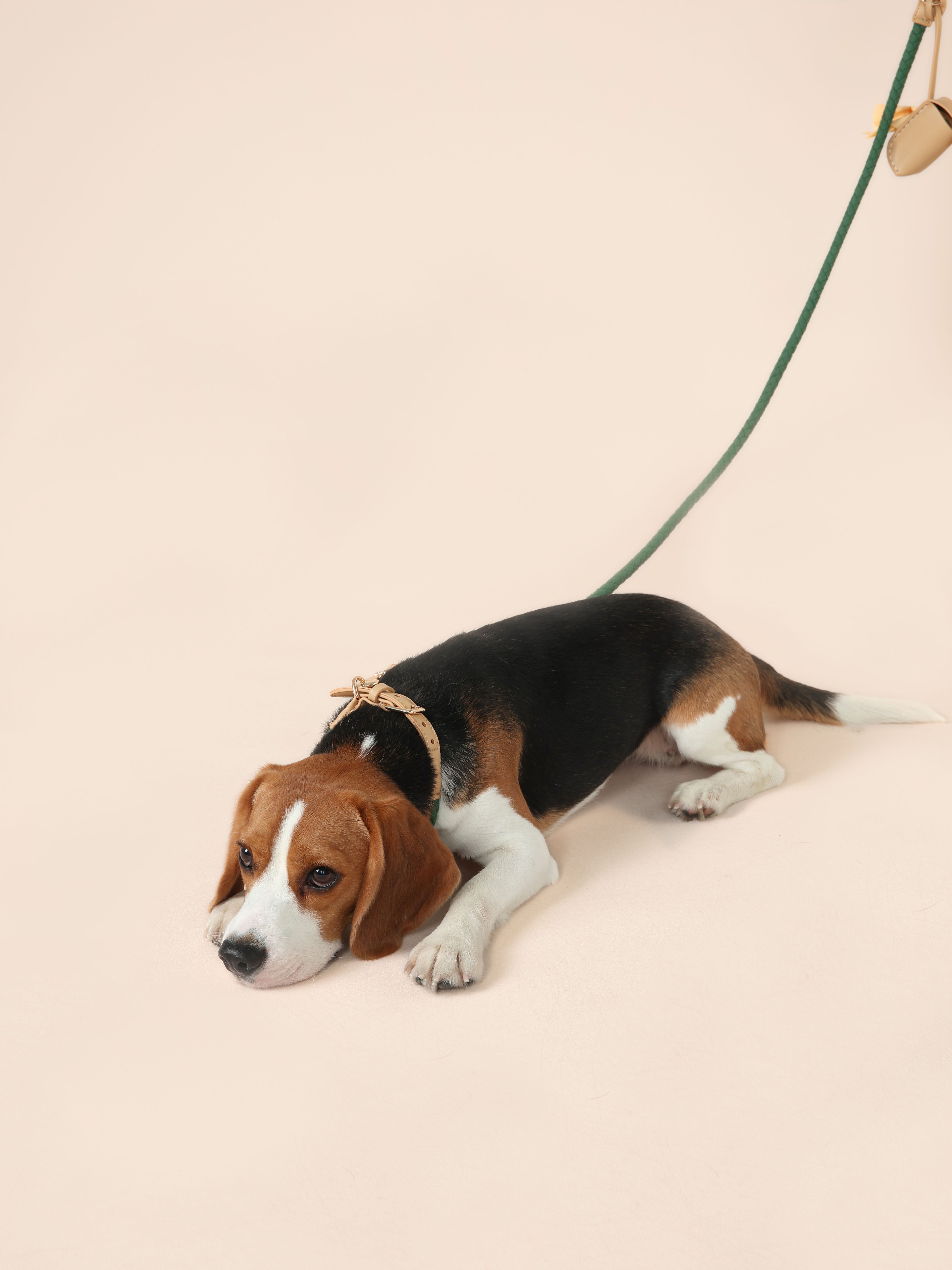 Handwoven Loop Collar - Green