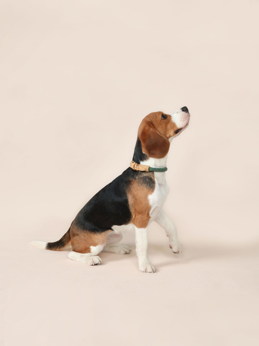 Handwoven Loop Collar - Green