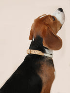 Handwoven Loop Collar - Beige