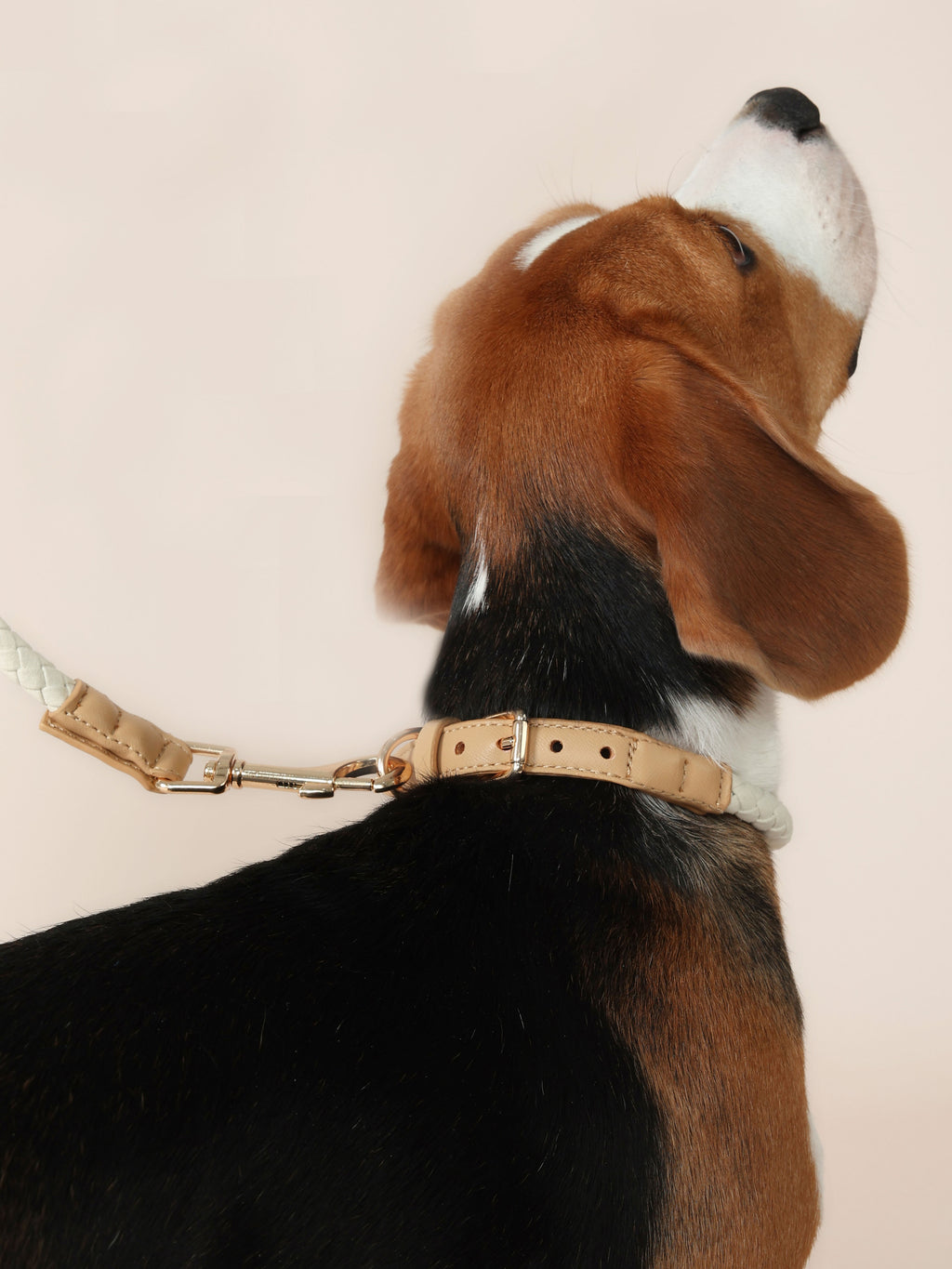 Handwoven Loop Collar - Beige