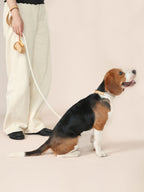 Handwoven Daily Leash - Beige