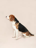 Handwoven Harness - Beige