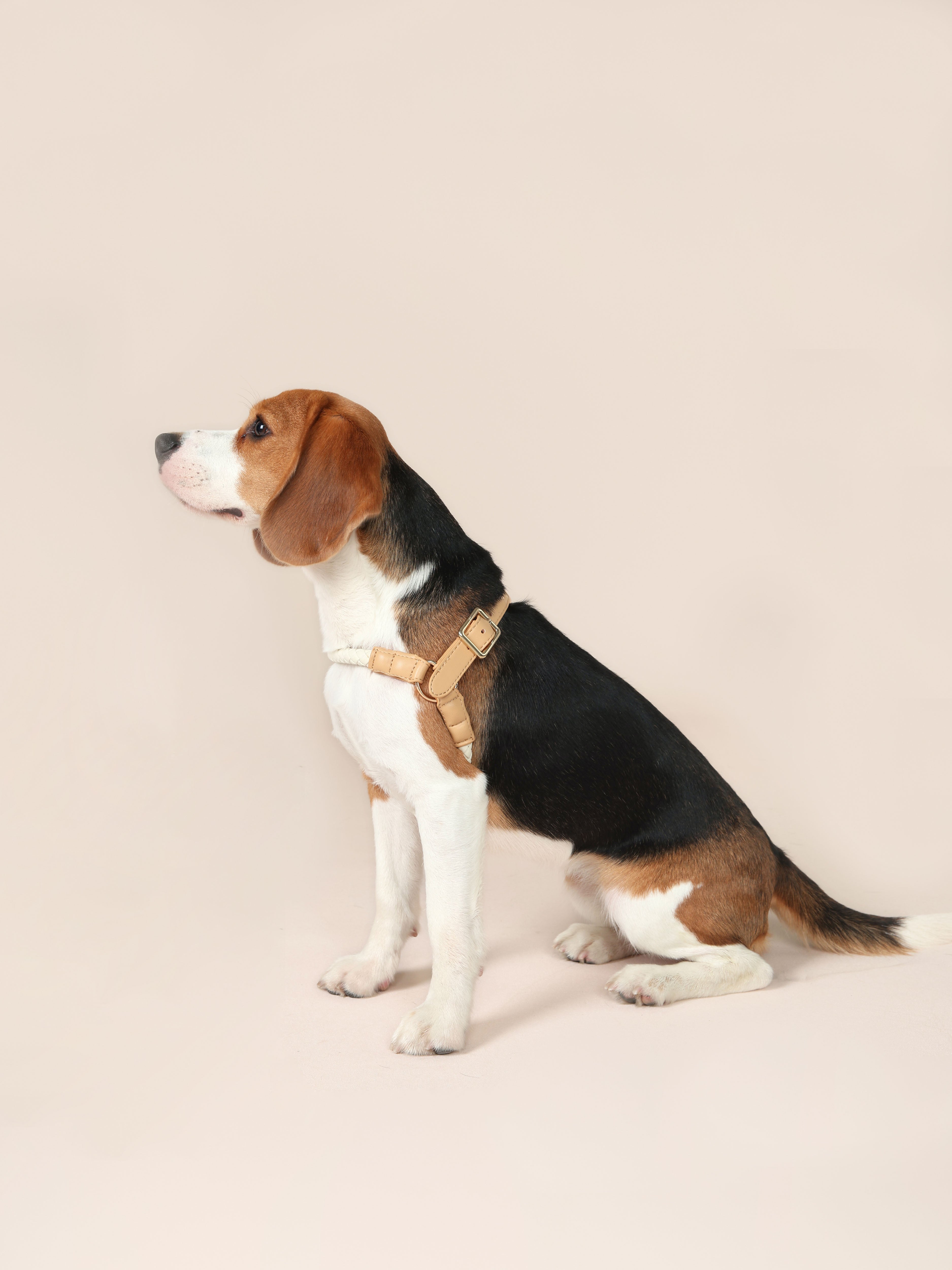 Handwoven Harness - Beige