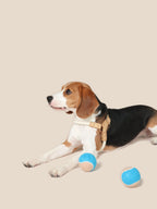 Handwoven Harness - Beige