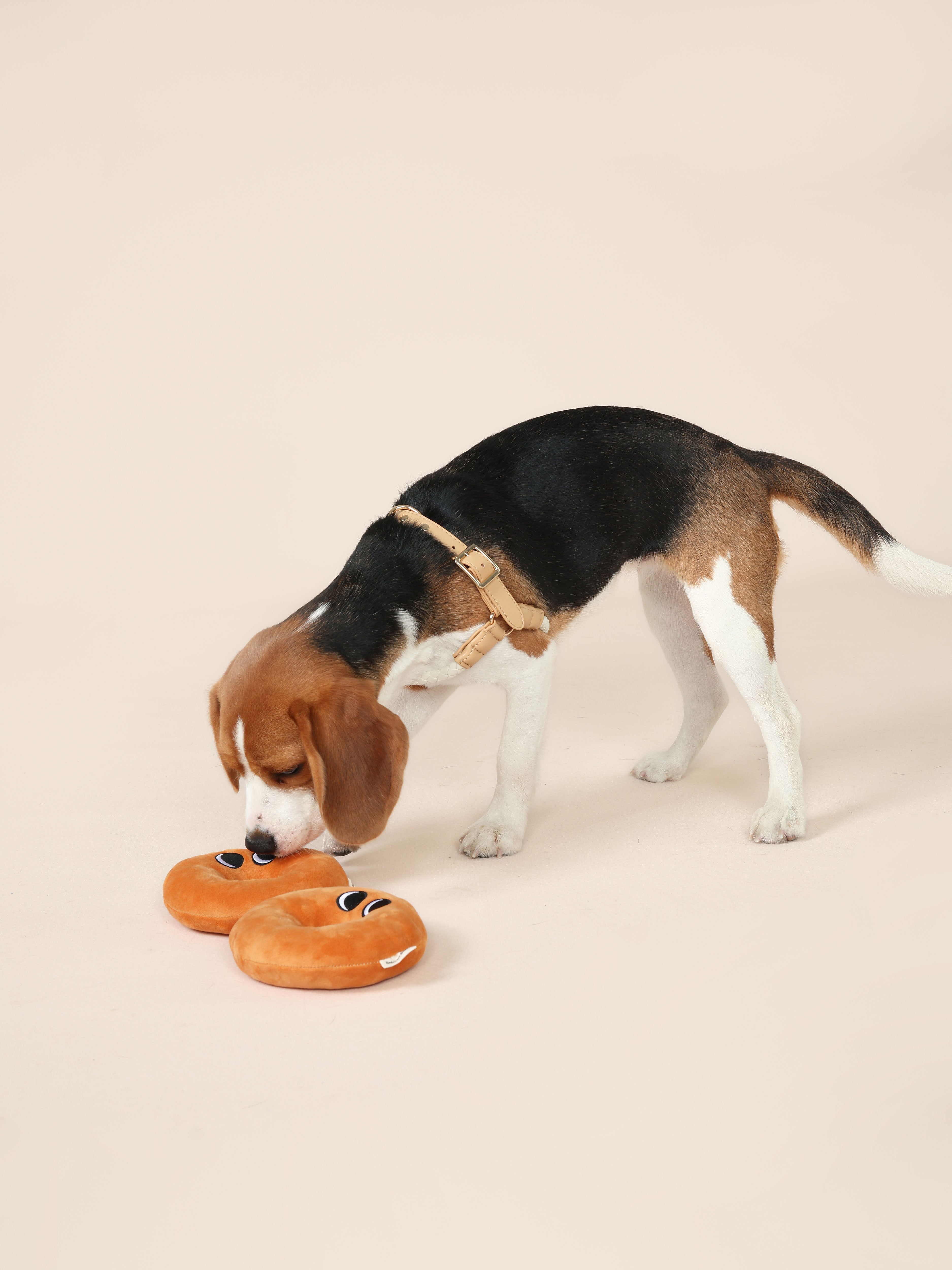Bagel Chewy Toy