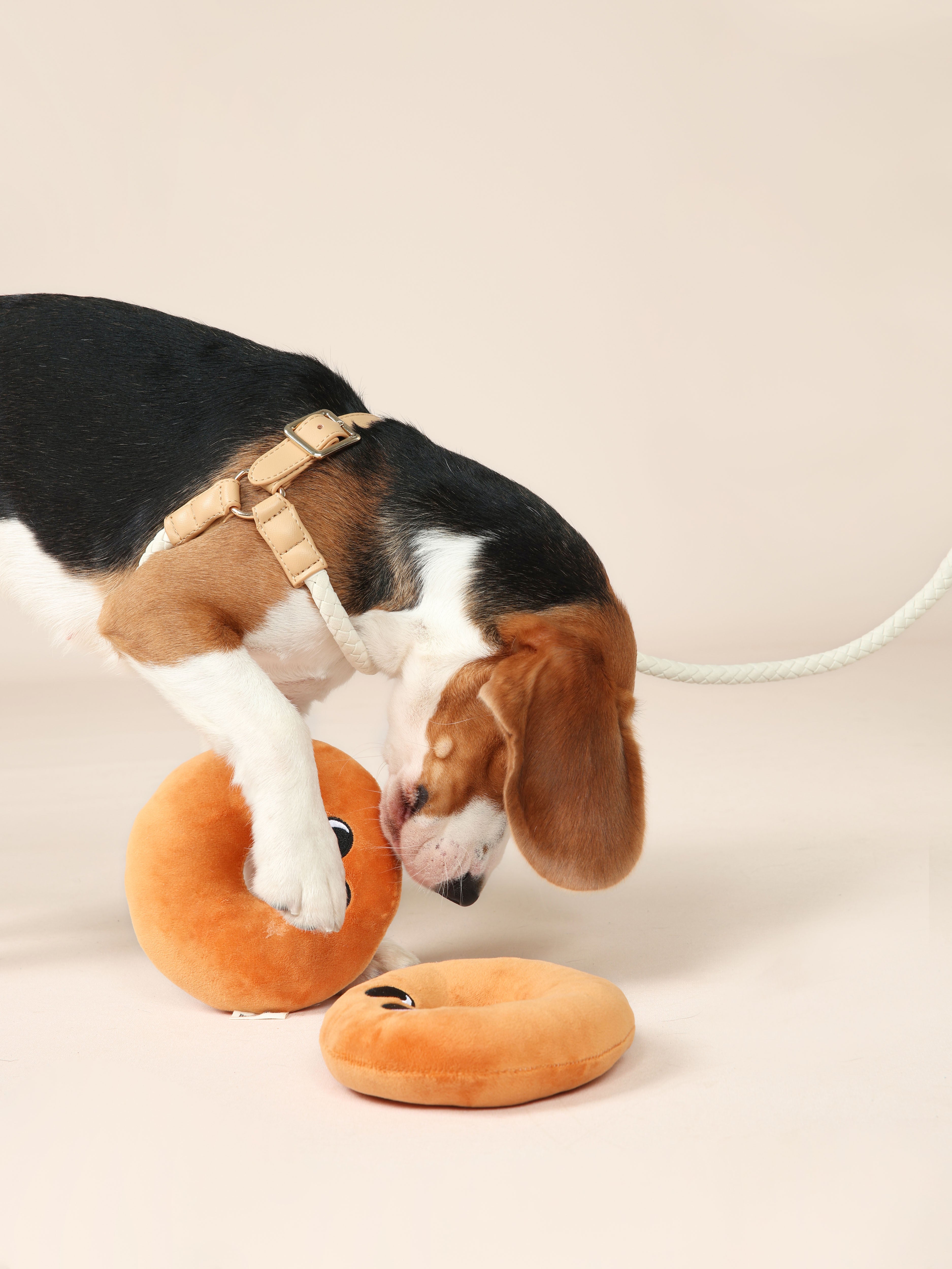 Handwoven Harness - Beige