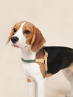 Handwoven Harness - Green