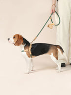 Handwoven Harness - Green