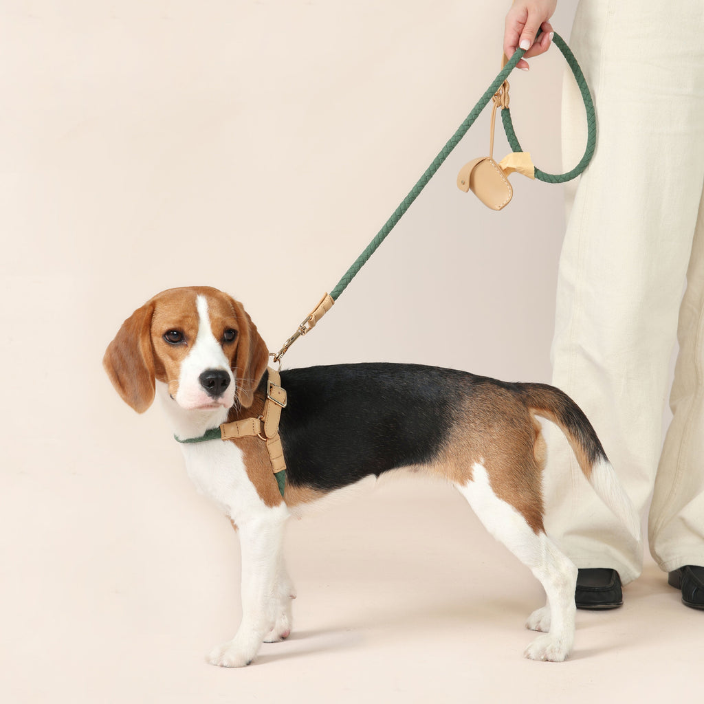 Handwoven Harness + Leash Set