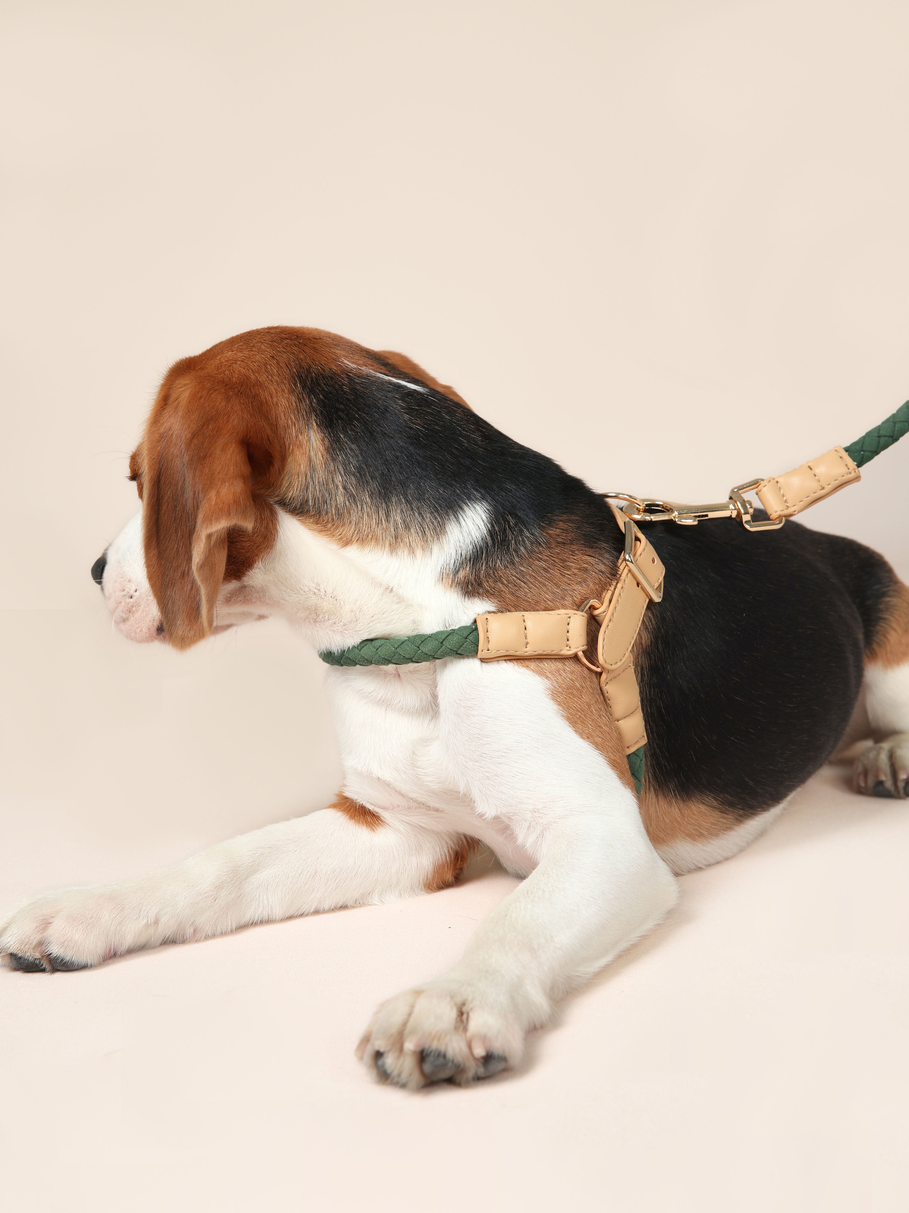 Handwoven Harness - Green