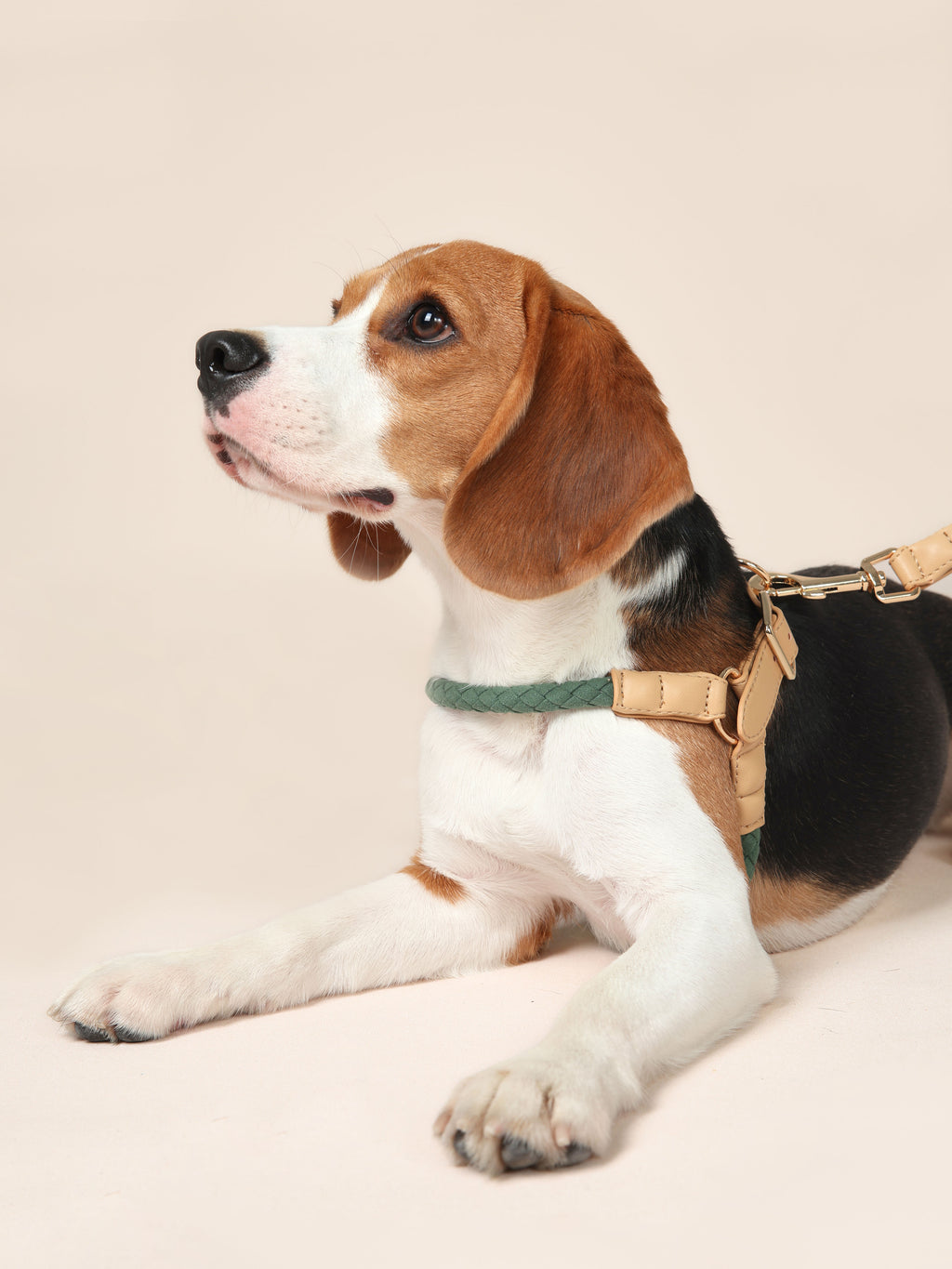 Handwoven Harness - Green