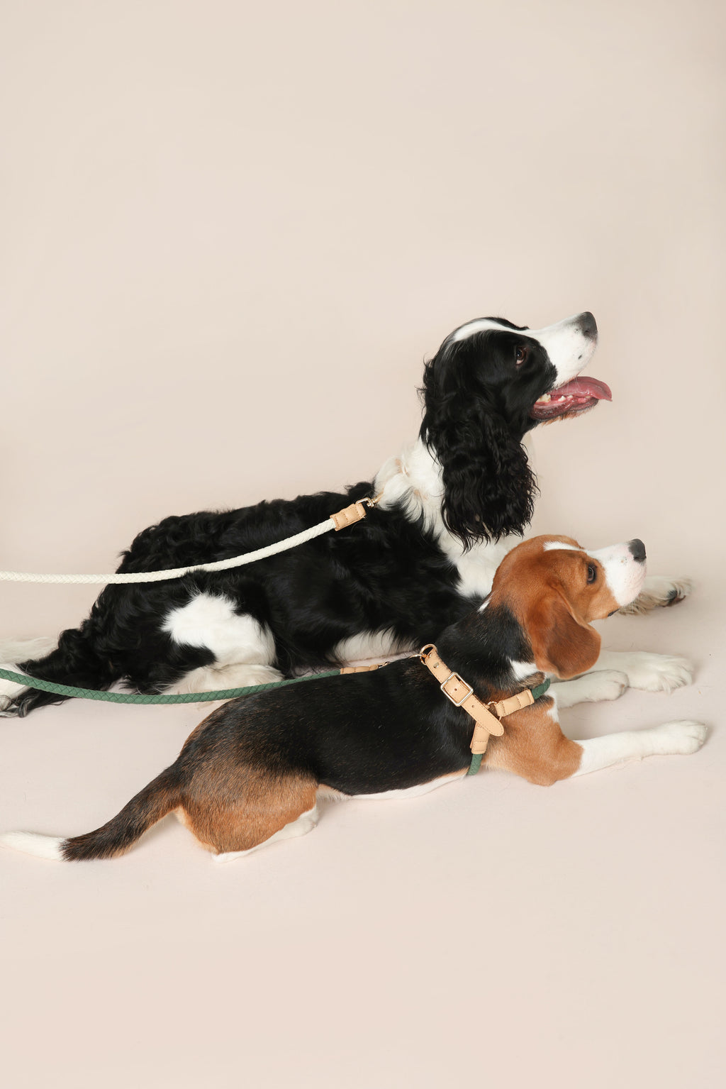 Handwoven Daily Leash - Green