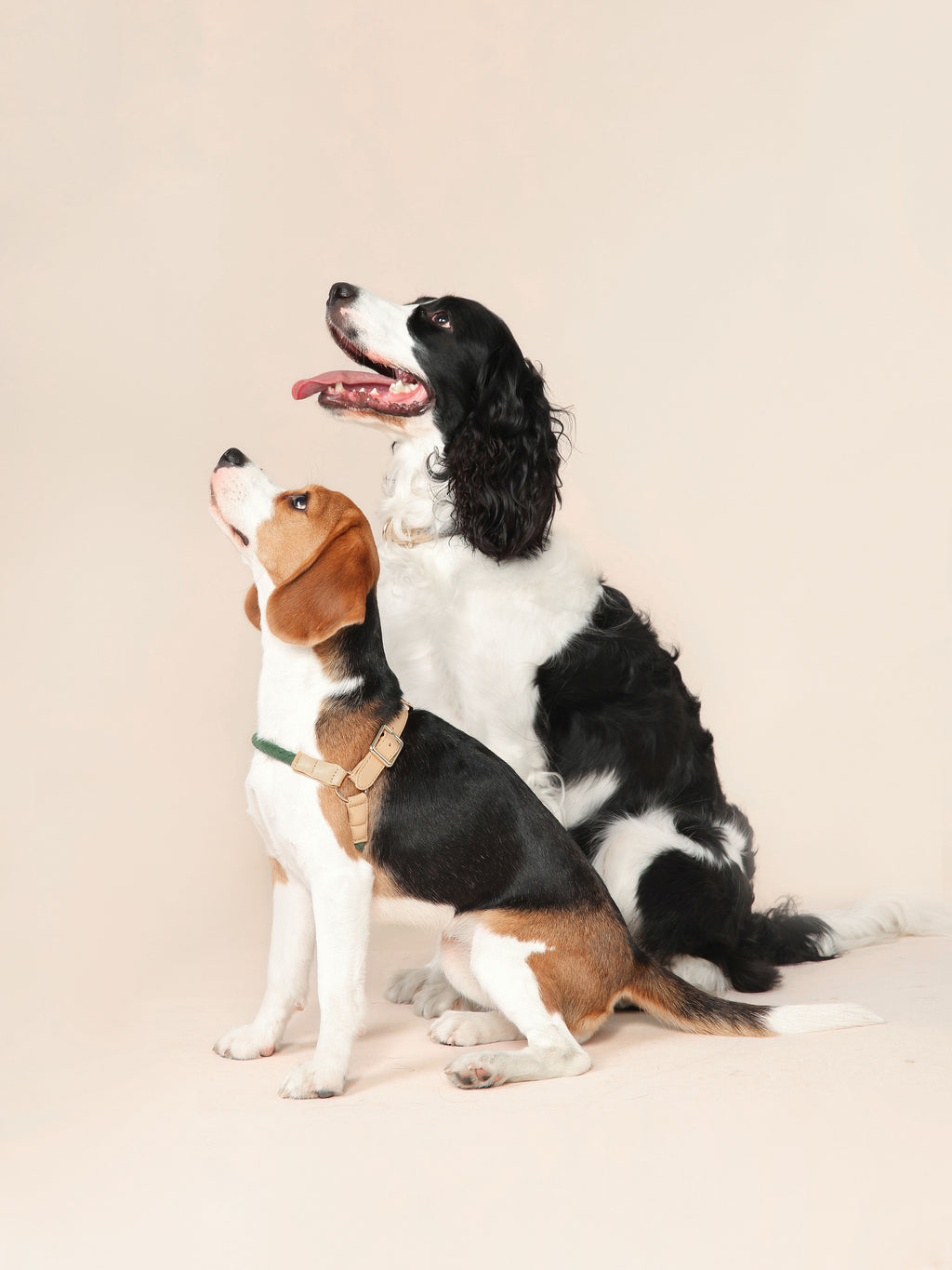 Handwoven Harness - Green