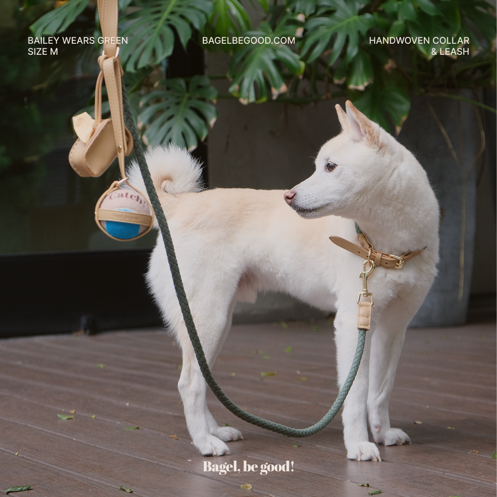 Handwoven Collar + Leash Set