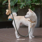 Handwoven Collar + Leash Set