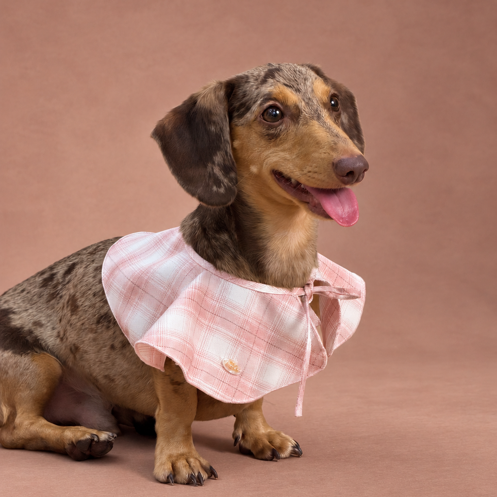Petal Collar