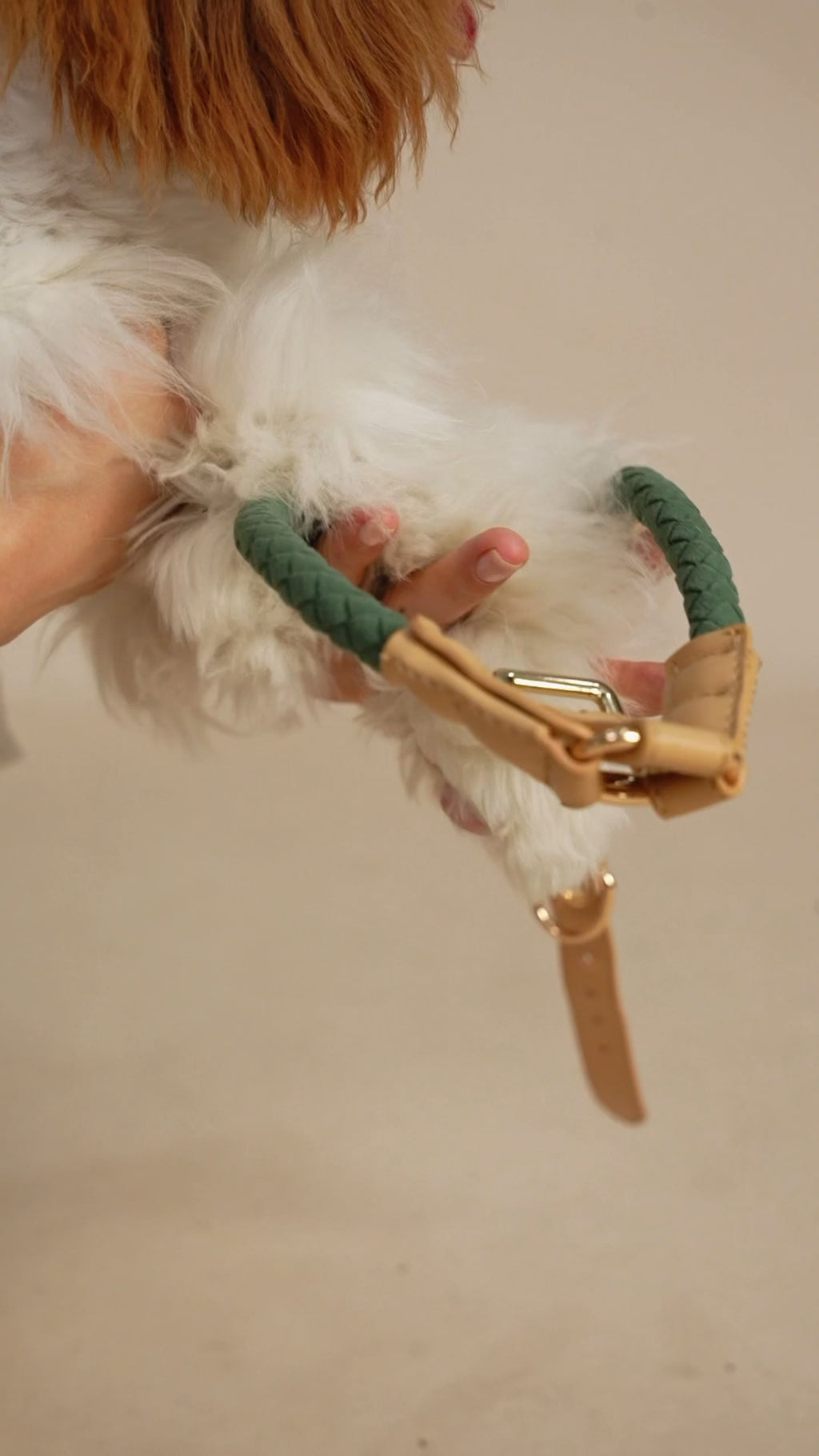 Handwoven Harness - Green