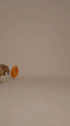 Bagel Chewy Toy