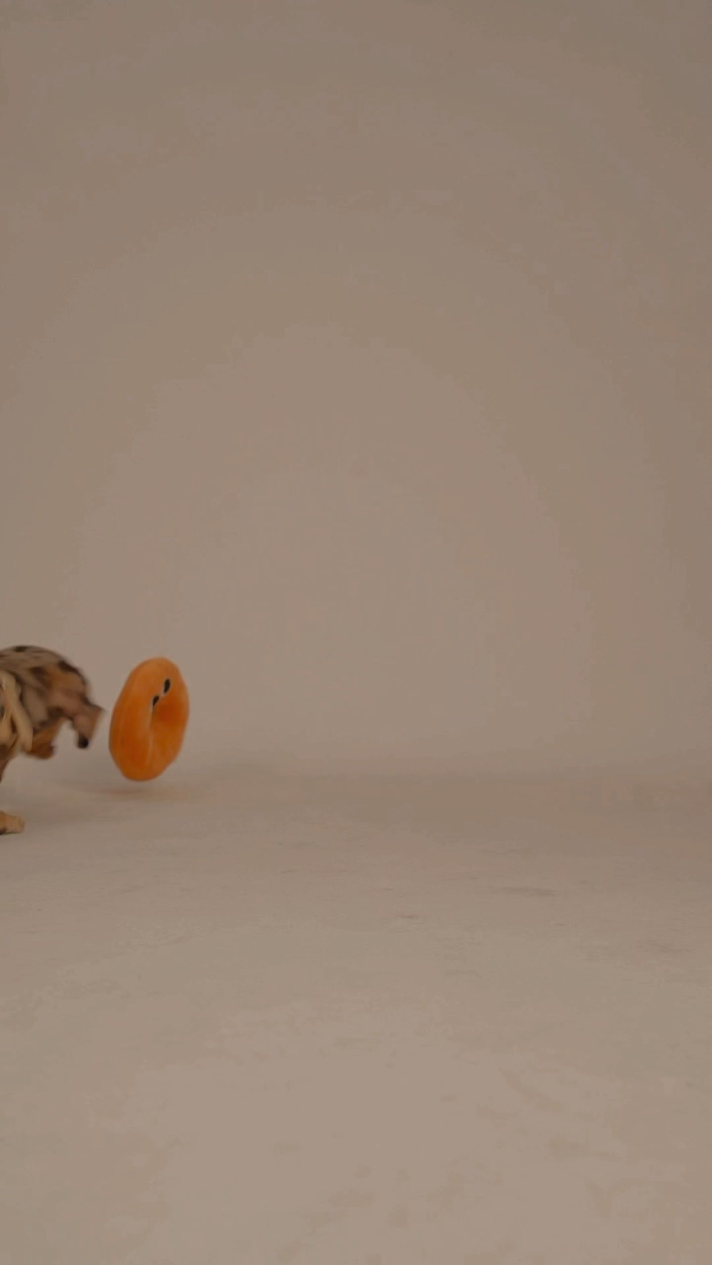 Bagel Chewy Toy